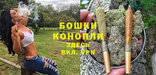 прущие крисы Белоозёрский