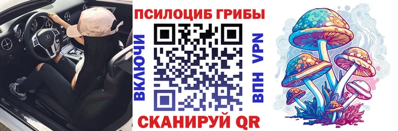 купить наркотик  Гаврилов-Ям  Галлюциногенные грибы GOLDEN TEACHER 